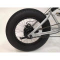 2019 Hot Sale 26inch 500W Fat Tire Mountain E-Bike/Electric Bicycle